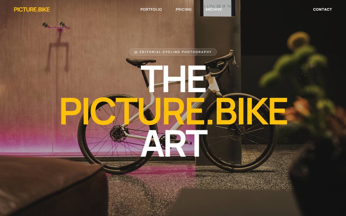 Zrzut ekranu projektu Picture Bike